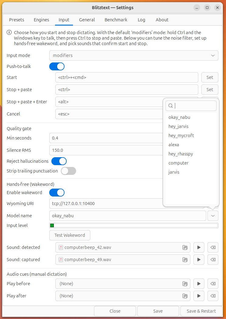 Wakeword (hands-free) settings